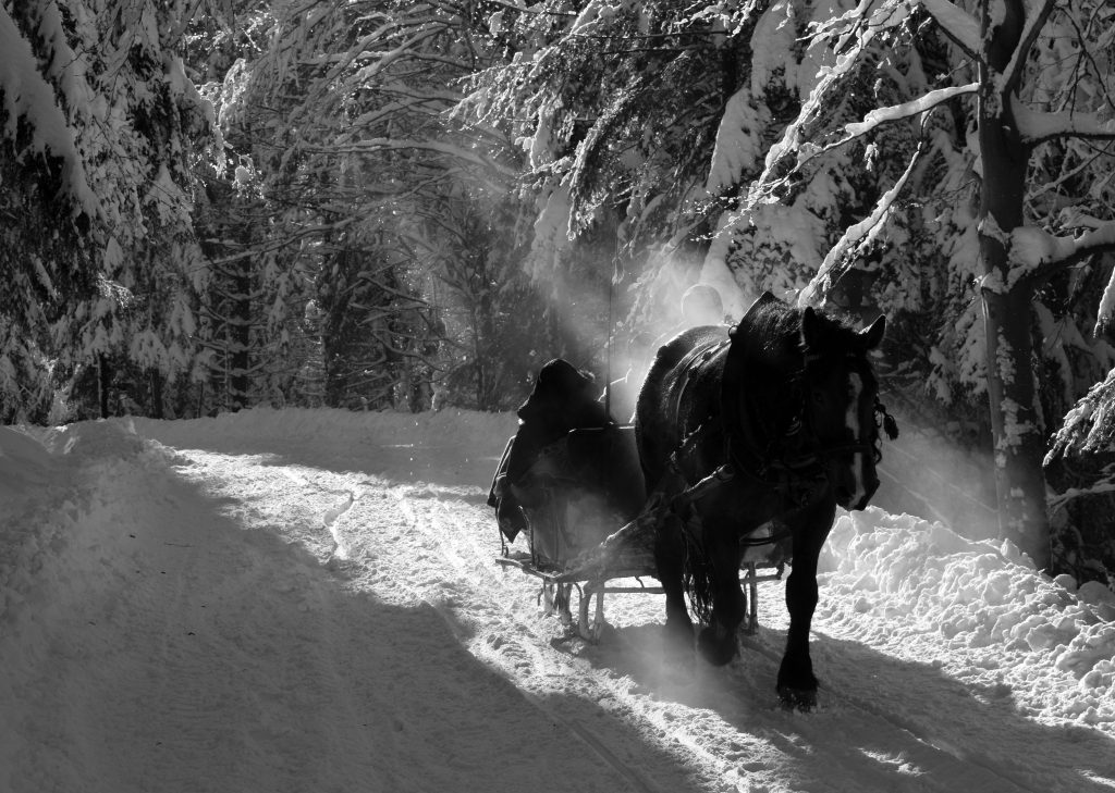 Zimnou krajniou ide po zasneženom chodníku kočiš s koňom.